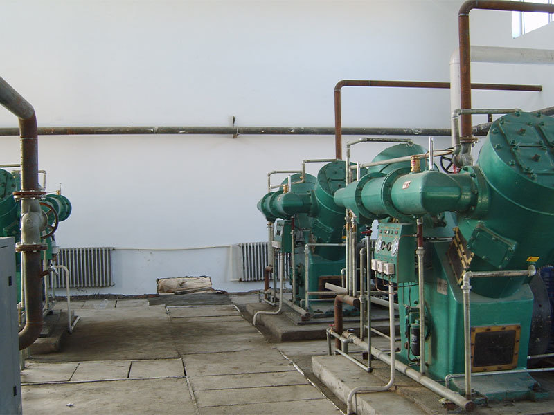 内(nei)蒙古蒙達電(diàn)廠